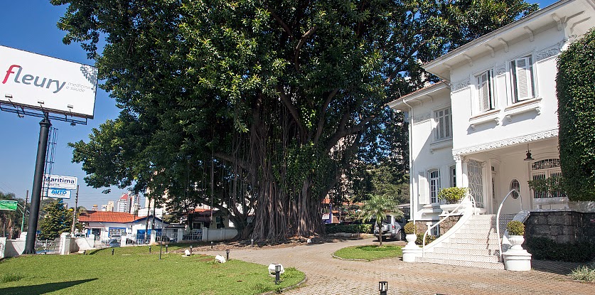Photo of Fleury Medicina e Saúde Jardim COVID Testing at Av. Dom Pedro II, 1241 - Jardim, Santo André - SP, 09090-000, Brazil